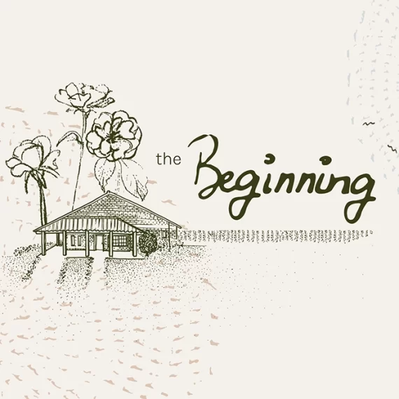 beginning-pattern-collection-logo-by-Aline-Bea