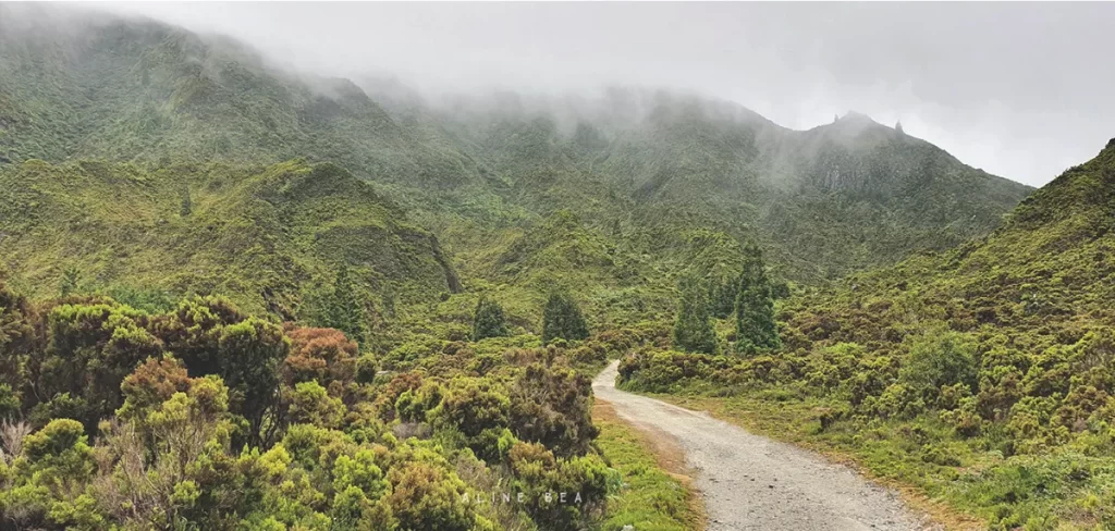 mystic-forest-hiking-trail-Azores