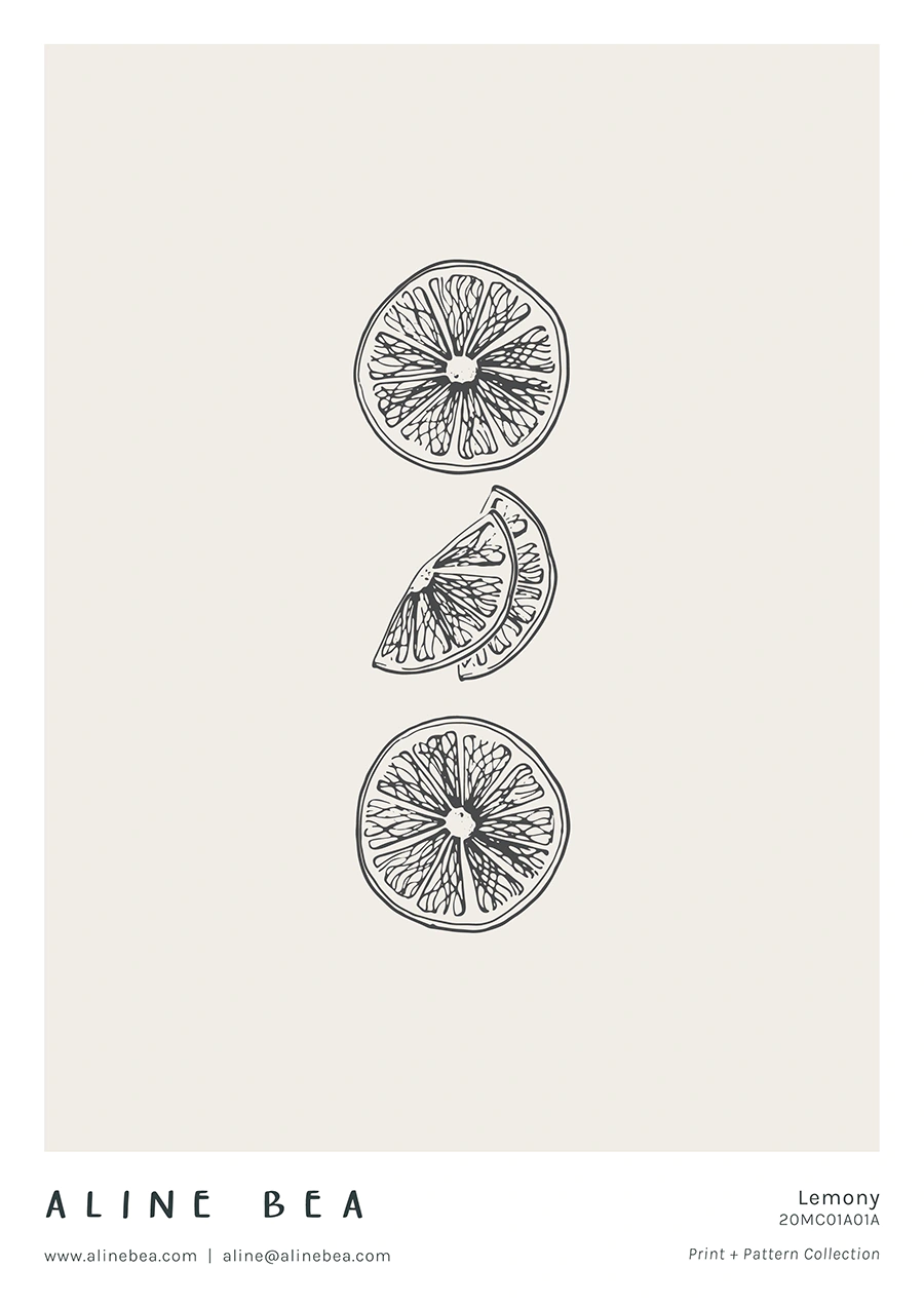 lemon-slices-illustration-line-work-by-Aline-Bea
