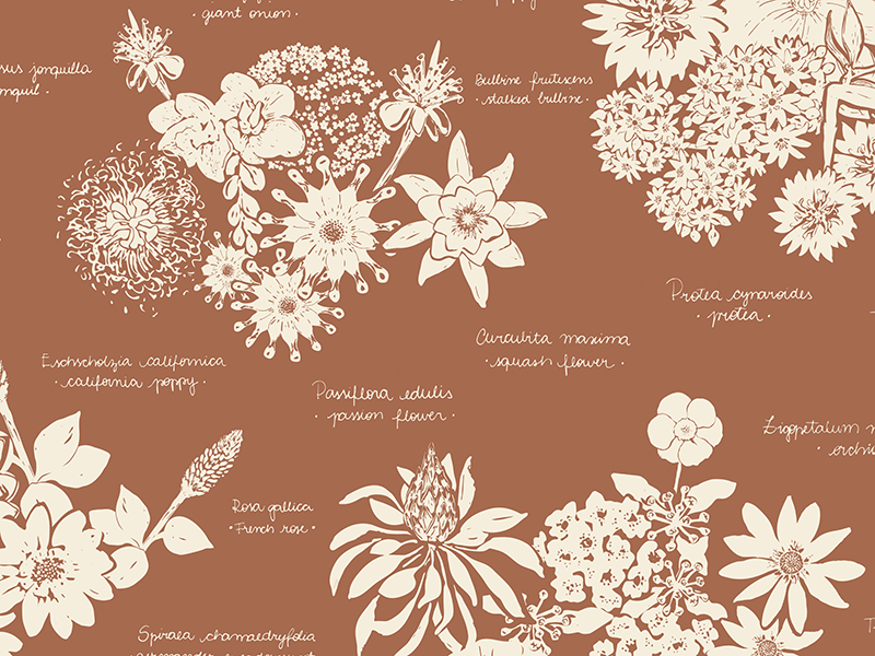 floral-patterns-illustrations-by-aline-bea