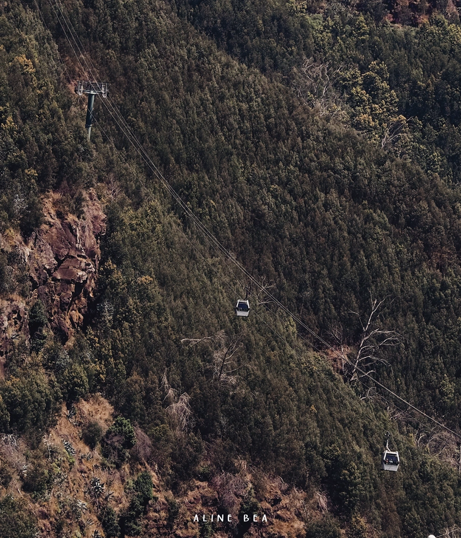 Cable cars over green cliffs.