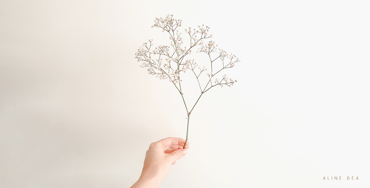 Hand holding a branch with little flowers on it announcing changes at Aline Bea